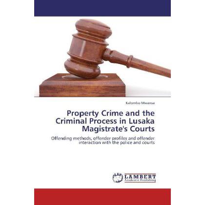 Property Crime and the Criminal Process in Lusaka Magistrate's Courts, Fachbücher