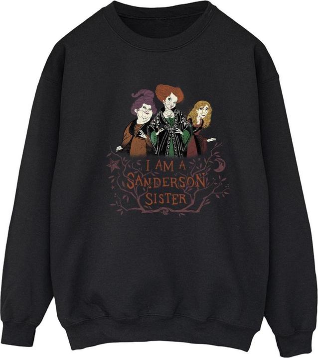 Produktbild Disney Hocus Pocus Sanderson Sister Sweatshirt (XXL)