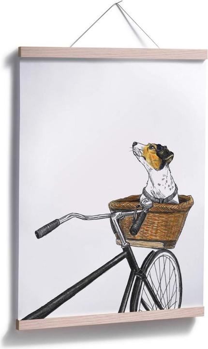 Image du produit Trenddeko Chien dans un panier (30 x 40 cm)