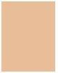 Actual product image Guerlain Parure G Mat Fluid Fond de Teint No "3,5 "N (3.5N Neutral)