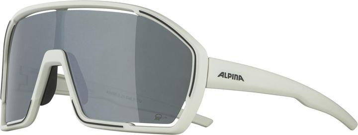 Produktbild ALPINA SPORTS Bonfire Q-Lite (Cool grey matt, Silber)