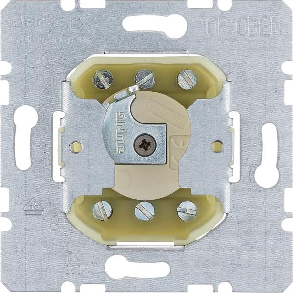 Actual product image Berker 383210 Insert for blinds push-button for profile half cylinder