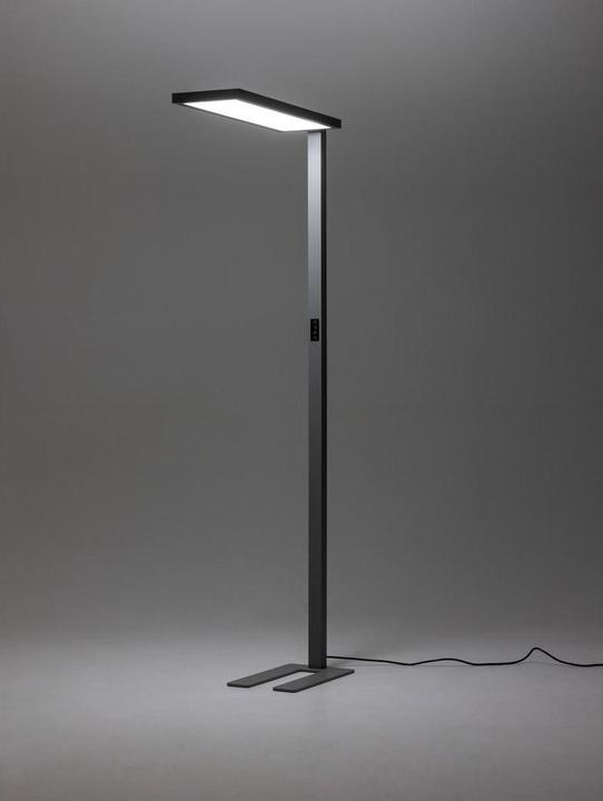 Actual product image Office Focus Focus