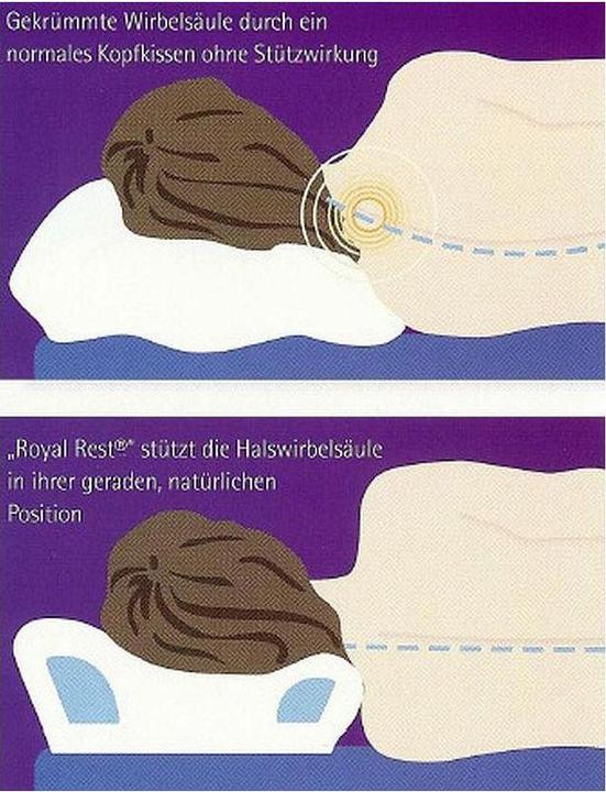 Immagine prodotto Royal Rest Standard (40 x 50 cm)