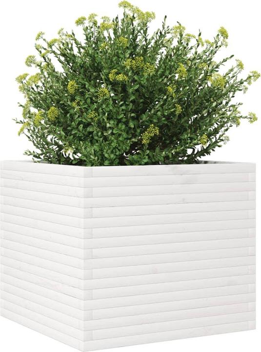 Produktbild vidaXL Pflanzkübel