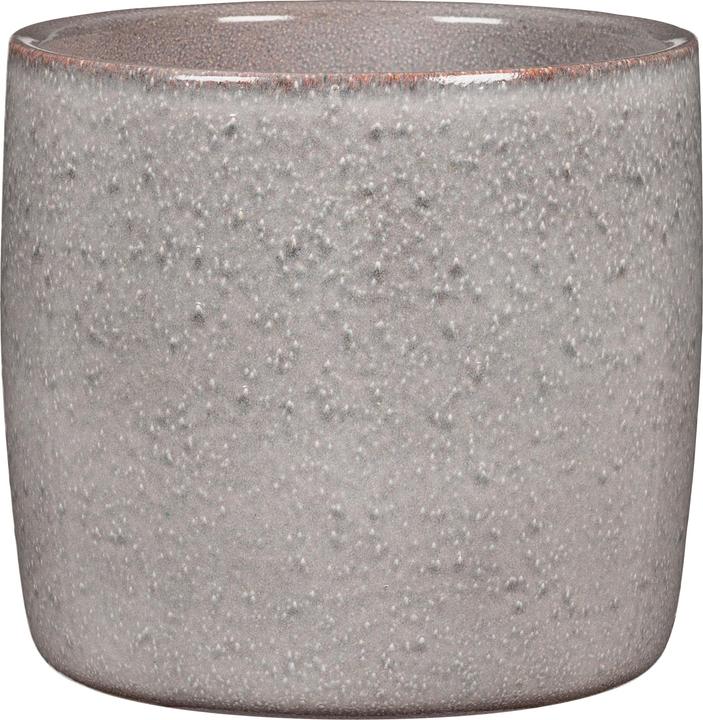 Produktbild Scheurich Solido Seashell (15 cm)
