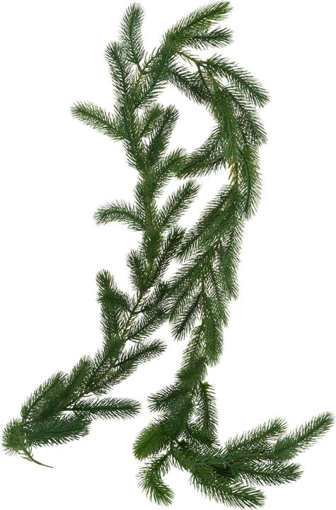 Image du produit VBS Eitra