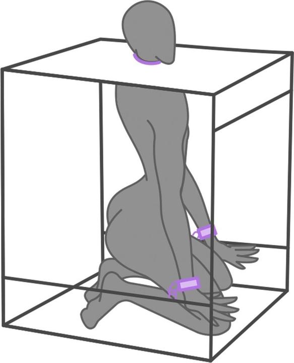 Actual product image Secret Dome â€“ Kink Club Cabina Bukkake Morado