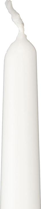 Produktbild Wenzel Spitzkerze (12 Stk.)