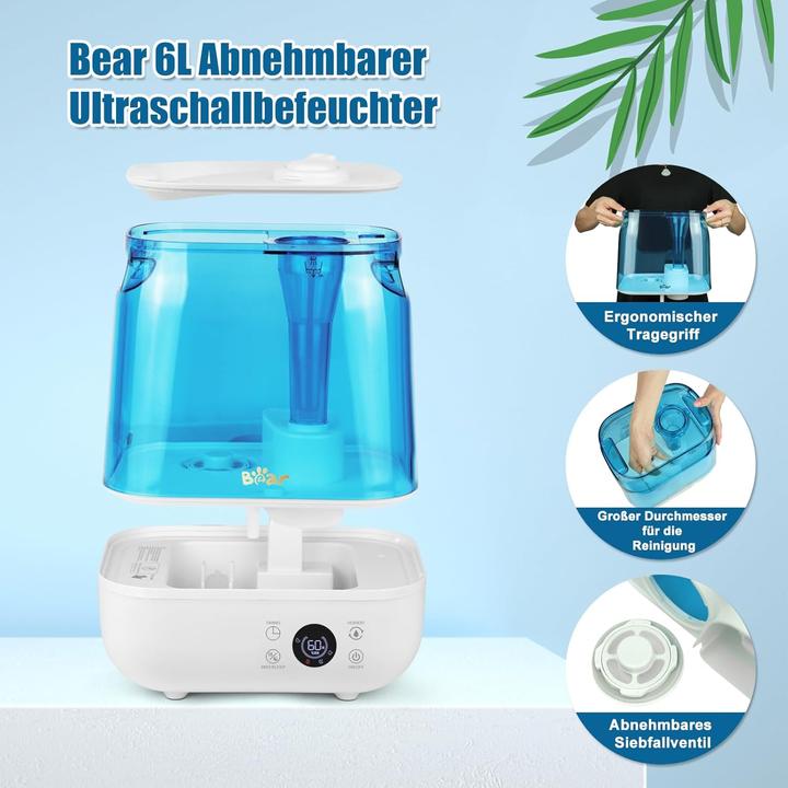 Actual product image Bear Rock 2025 Luftbefeuchter