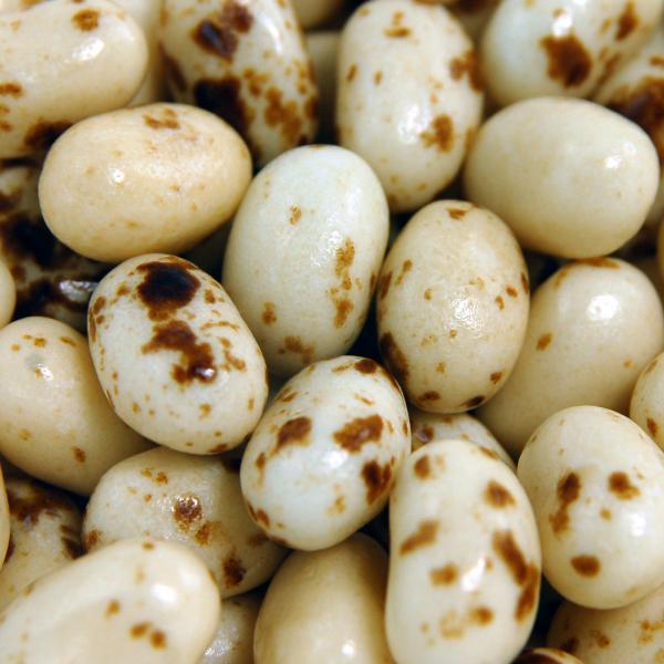 Immagine prodotto Jelly Belly Marshmallow tostato 1kg (1 pz., 1000 g)