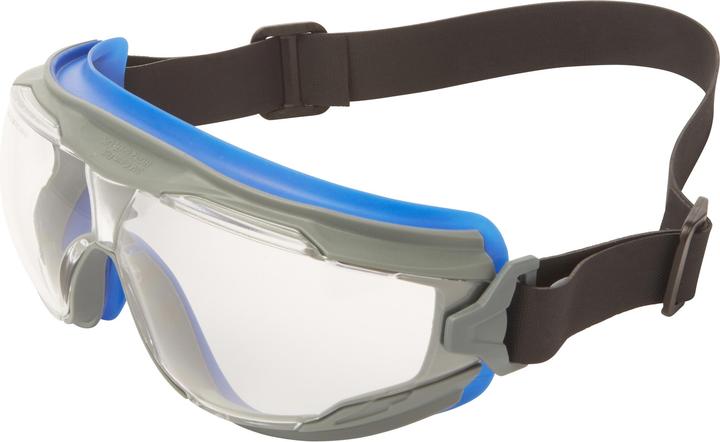 3M GoggleGearoll vision gogglesautoclavableFramesNeopreneHeadbandClearLenses