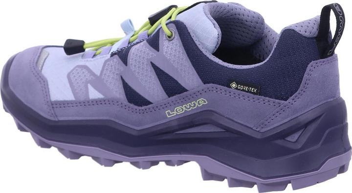 Produktbild Lowa Maddox Pro GTX LO (38)