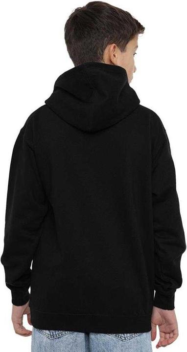 Produktbild Star Wars Embrace The Dark Side Of The Force Kapuzenpullover meliert (116)