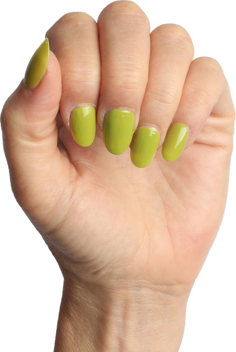 Produktbild Vargu Cactus (Cactus 05, Farblack)
