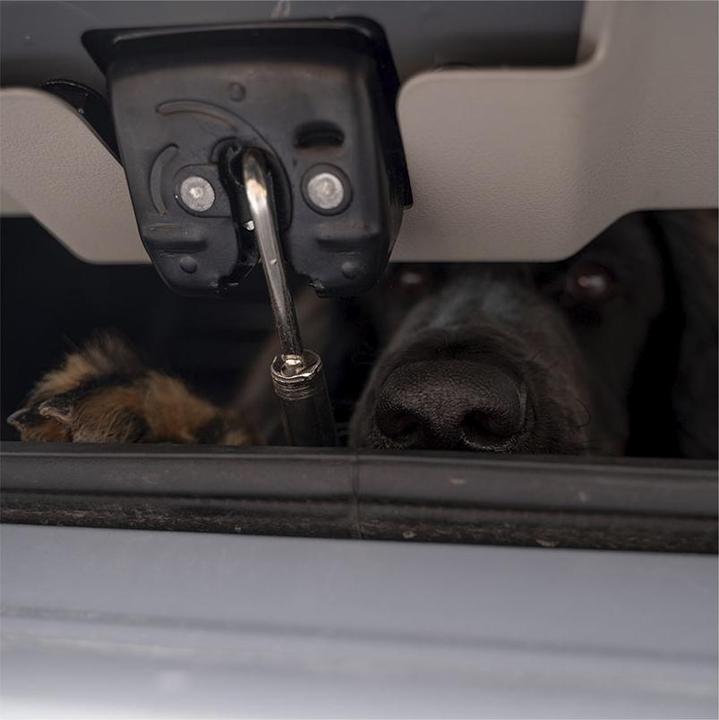 Actual product image Flamingo Boot ventilation hooks (Dog)