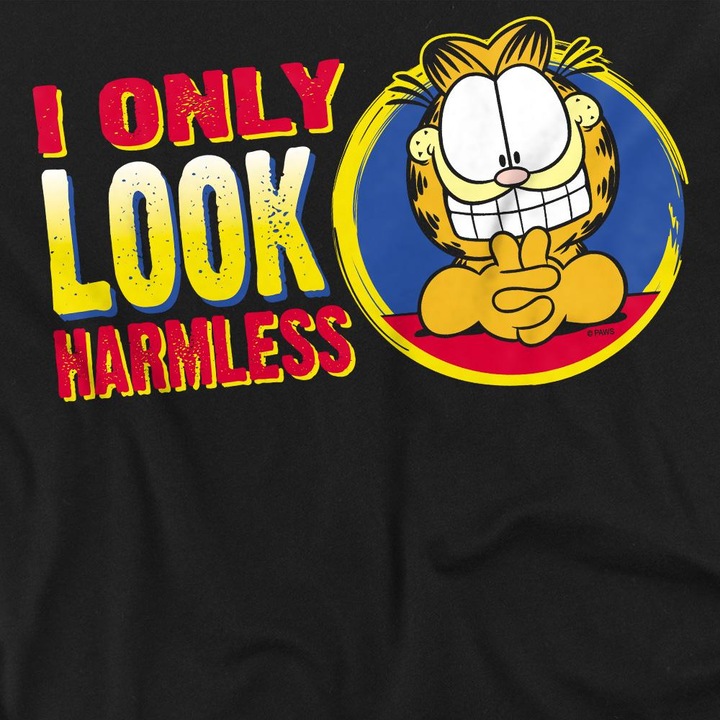 Produktbild Garfield I Only Look Harmless TShirt (M)