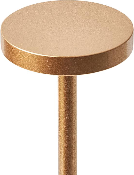 Image du produit Beliani Lizandro (150 lm)