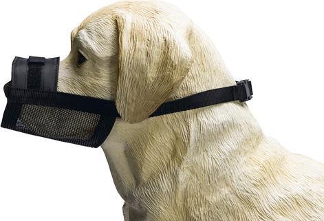 Actual product image Beeztees Muzzle (S, Dog, Dog sport)