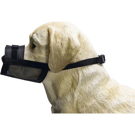 Thumbnail - Beeztees Maulkorb (S, Hund, Hundesport), Halsband + Leine