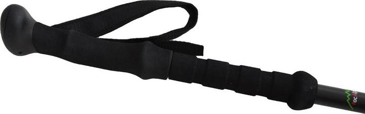 Produktbild RocAlpes Wanderstock RT 620 Carbon