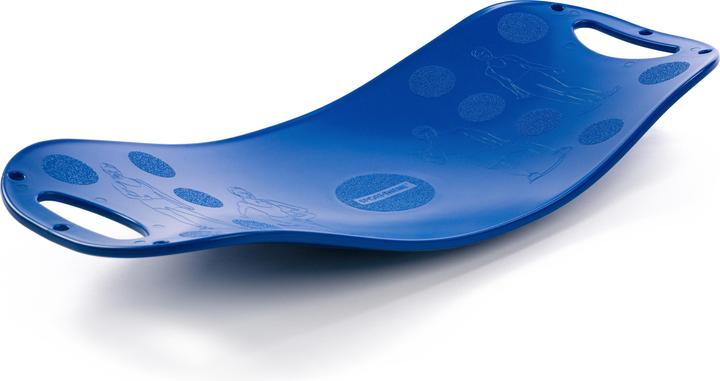 Sport-Thieme Balance Fit Board