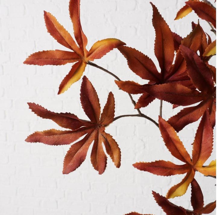 Actual product image Boltze Home Ahorn (4 cm)