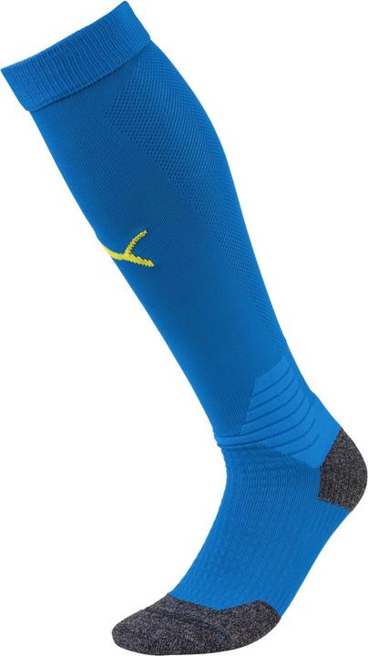 Actual product image Puma Team LIGA Socks-703438 (35, 38)