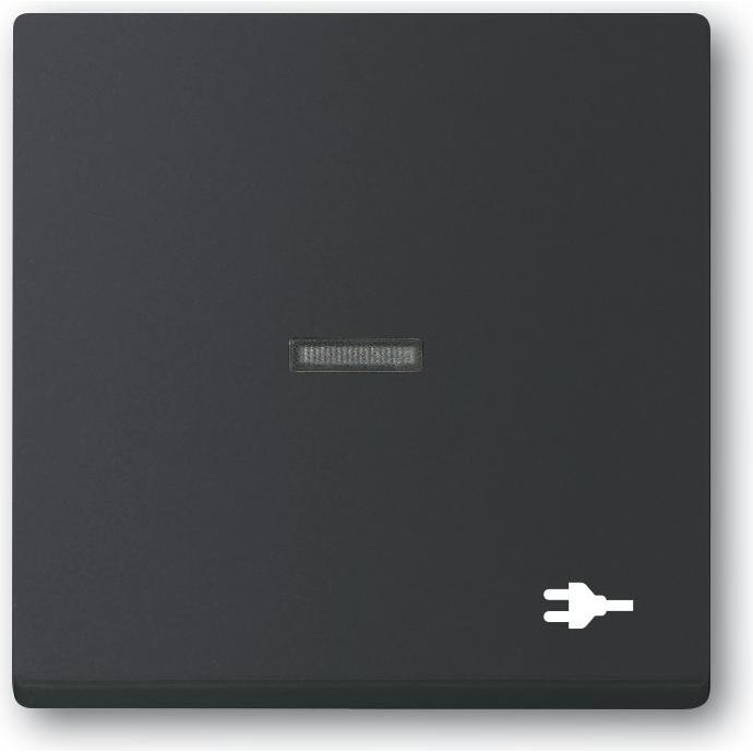 Busch-Jaeger, Programma di commutazione degli accessori, Bilanciere con impronta piccola 2CKA001751A3164