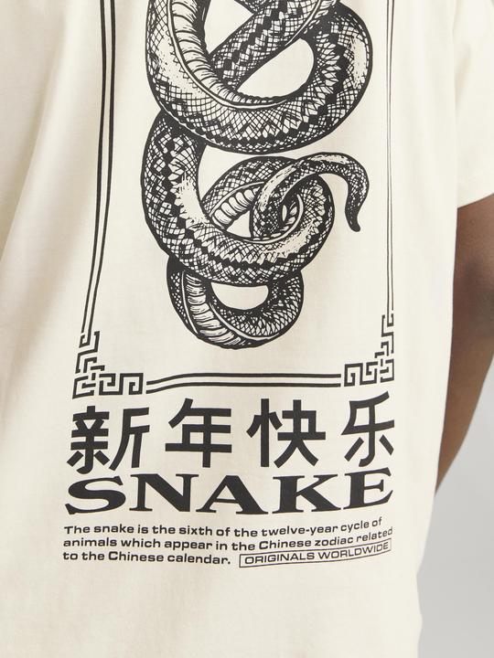 Actual product image Jack & Jones Jorsnake Tee Ss Crew Neck Tg Ln (XL)