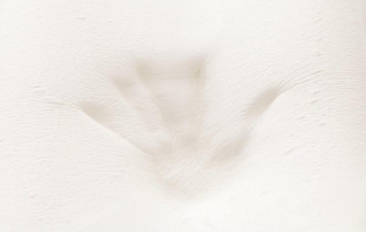 Image du produit Hefel Visco-Classic (50 x 70 cm)