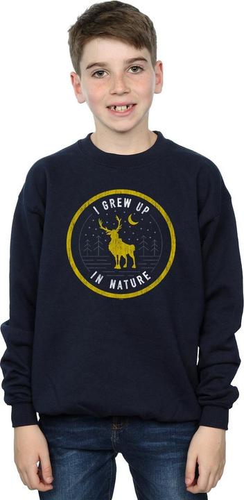 Image du produit Disney - Sweat FROZEN SVEN GREW UP IN NATURE - Garçon (152, 158)