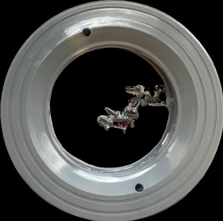 BWT Procopi projector collar light grey X 2 44000842 (Cover)