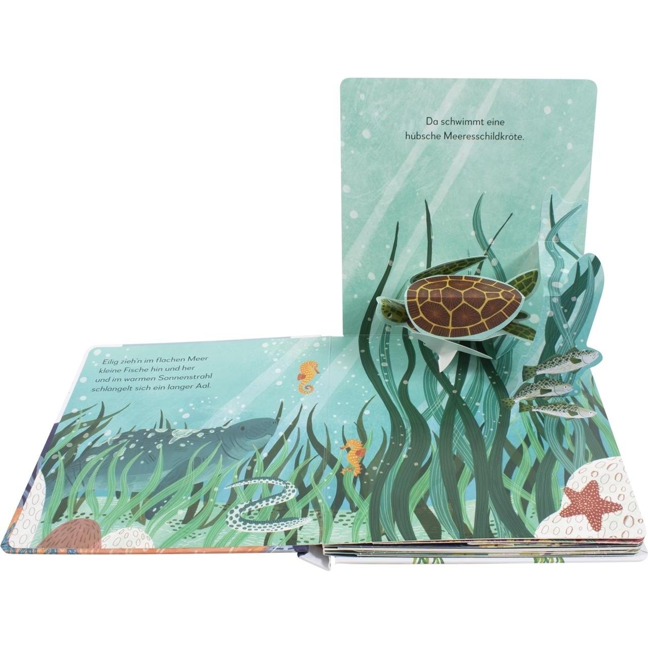 Thumbnail - Mein Pop-up-Buch zum Staunen. Wer lebt im Meer?, Kinderbücher von Sandra Grimm, DK Verlag - Kids, Maike Biederstädt, Jea...