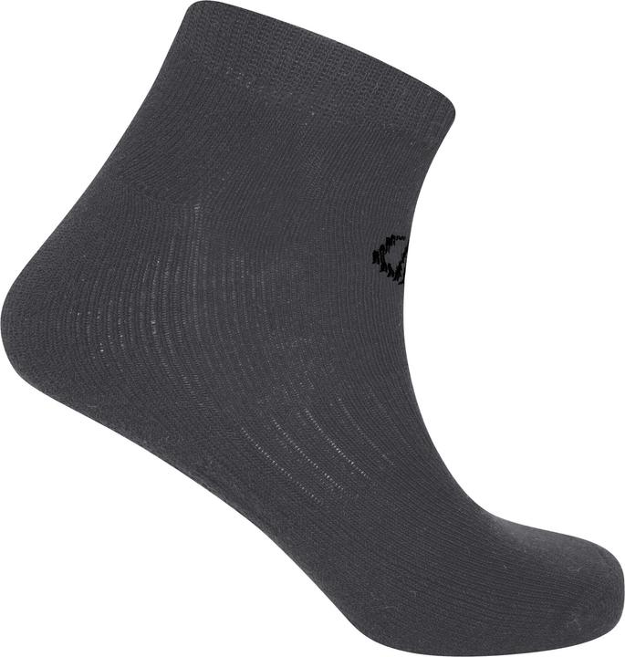 Produktbild Dare2b Essentials Knöchelsocken (2erPack) (35.5 - 38)