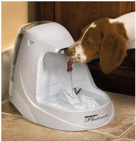 Actual product image PetSafe Platinum (500 cl)