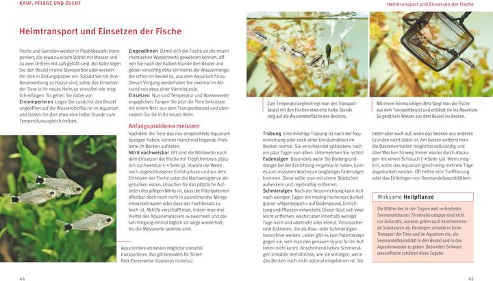 Image du produit Nano aquariums (20.20 cm)