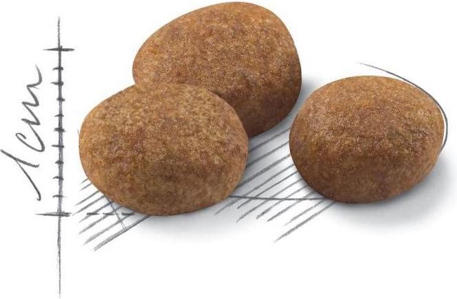 Produktbild Royal Canin Sterilised 7+ (Senior, 1 Stk., 1500 g)