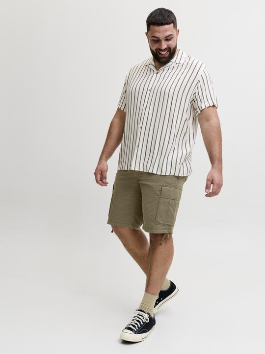 Image du produit Jack & Jones Plus Size Relaxed Fit Cargo Shorts Cargo Shorts (46)