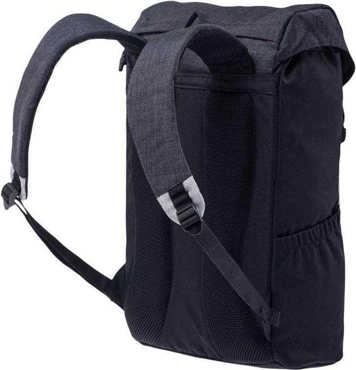 Actual product image Iguana Picini Rucksack (25 l)