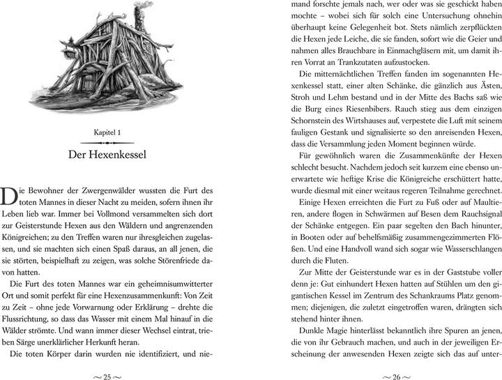 Nährwerte und Zutaten Land of Stories: Das magische Land – Ein Königreich in Gefahr (Deutsch, Chris Colfer, 2024)