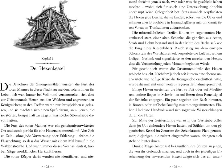 Valori nutrizionali e ingredienti Land of Stories: Das magische Land – Ein Königreich in Gefahr (Tedesco, Chris Colfer, 2024)