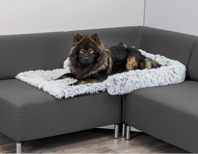 Image du produit Trixie Harvey (Chien)