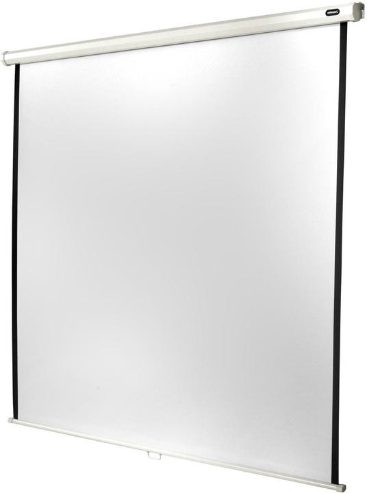 Actual product image Celexon Rollo Economy (122.44", 1:1)