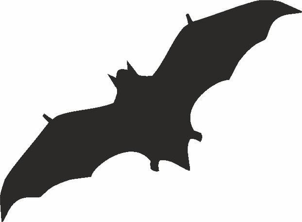 Immagine prodotto Eulenspiegel Pipistrello