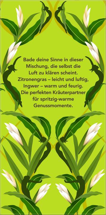 Produktbild Pukka Zitronengras & Ingwer (36 g)