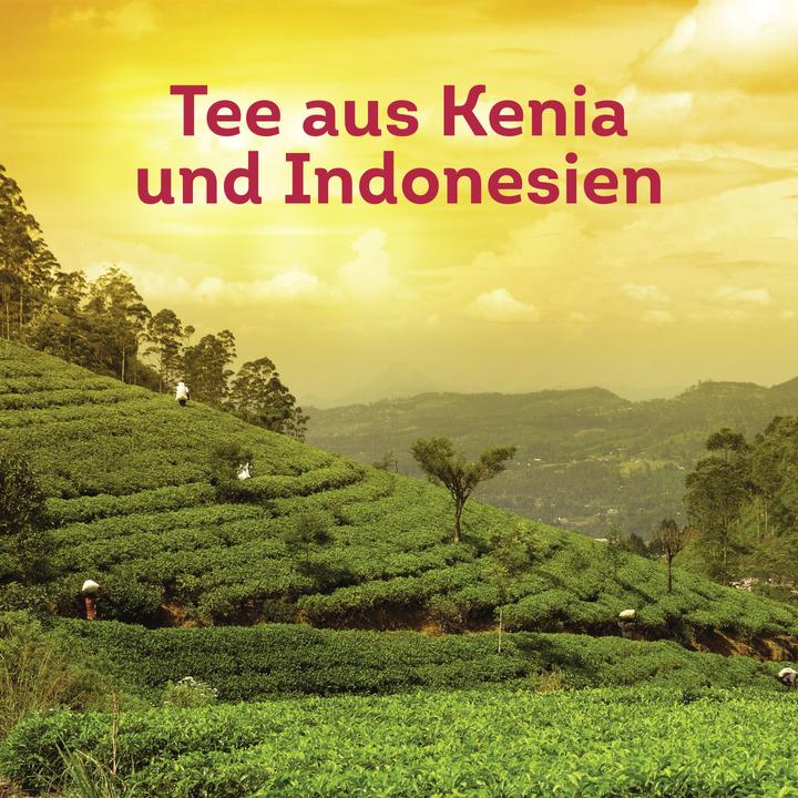 Image du produit Lipton Sachets de thé (45 g)