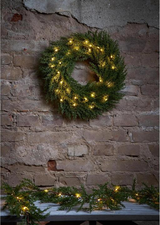 Produktbild Star Trading Thuja