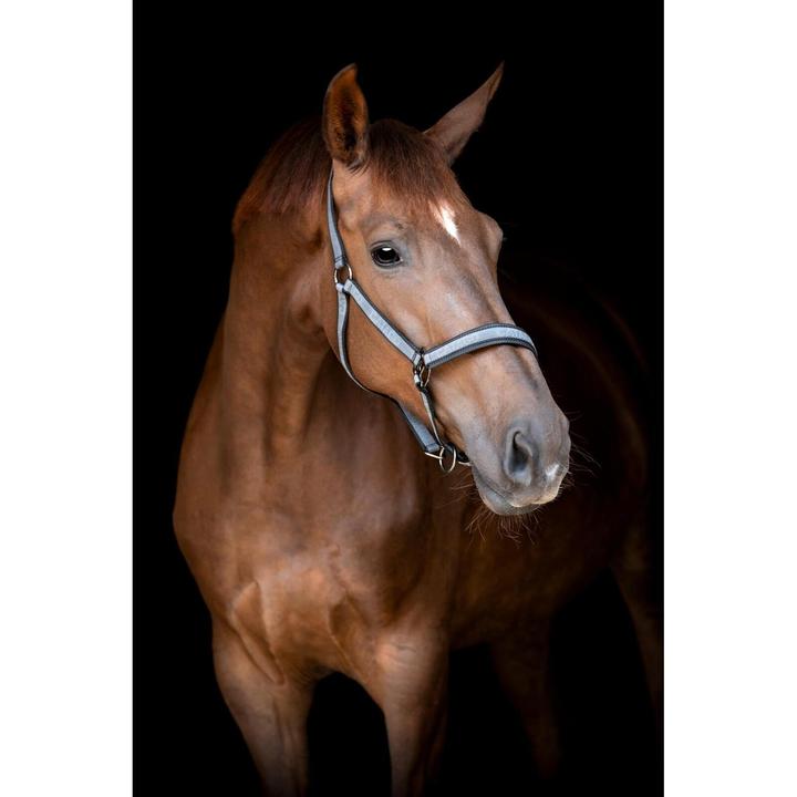 Produktbild Catago Name