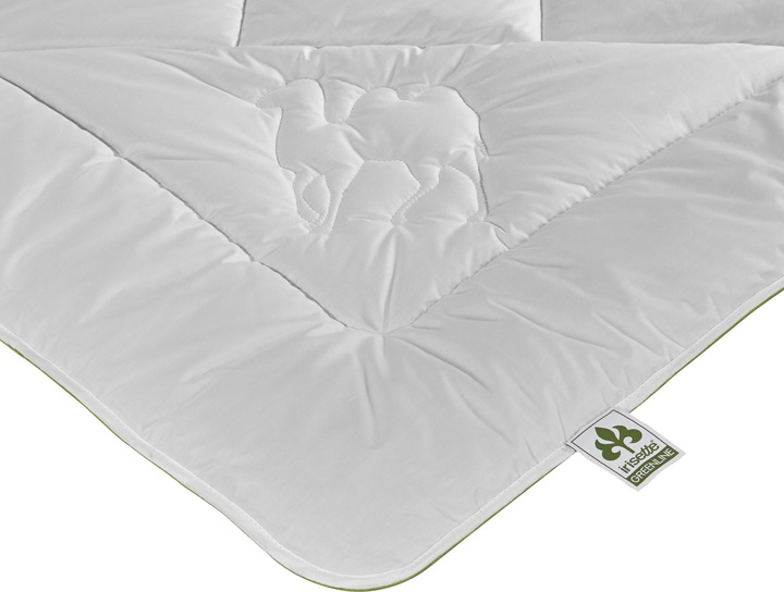 Produktbild Irisette Greenline Greenline Kamelhaar ECO Mono leicht (800 g, 135 x 200 cm)